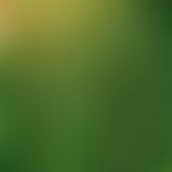 De Midjourney à GEN 2, en passant par Wondershare Filmora