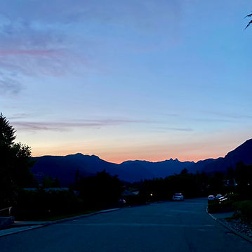 Adoptive Parent Profile