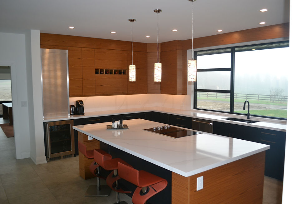 WINE FRIDGE AND CABINET INSERT