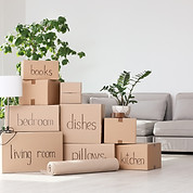 AdobeStock_221677376 (1).jpeg