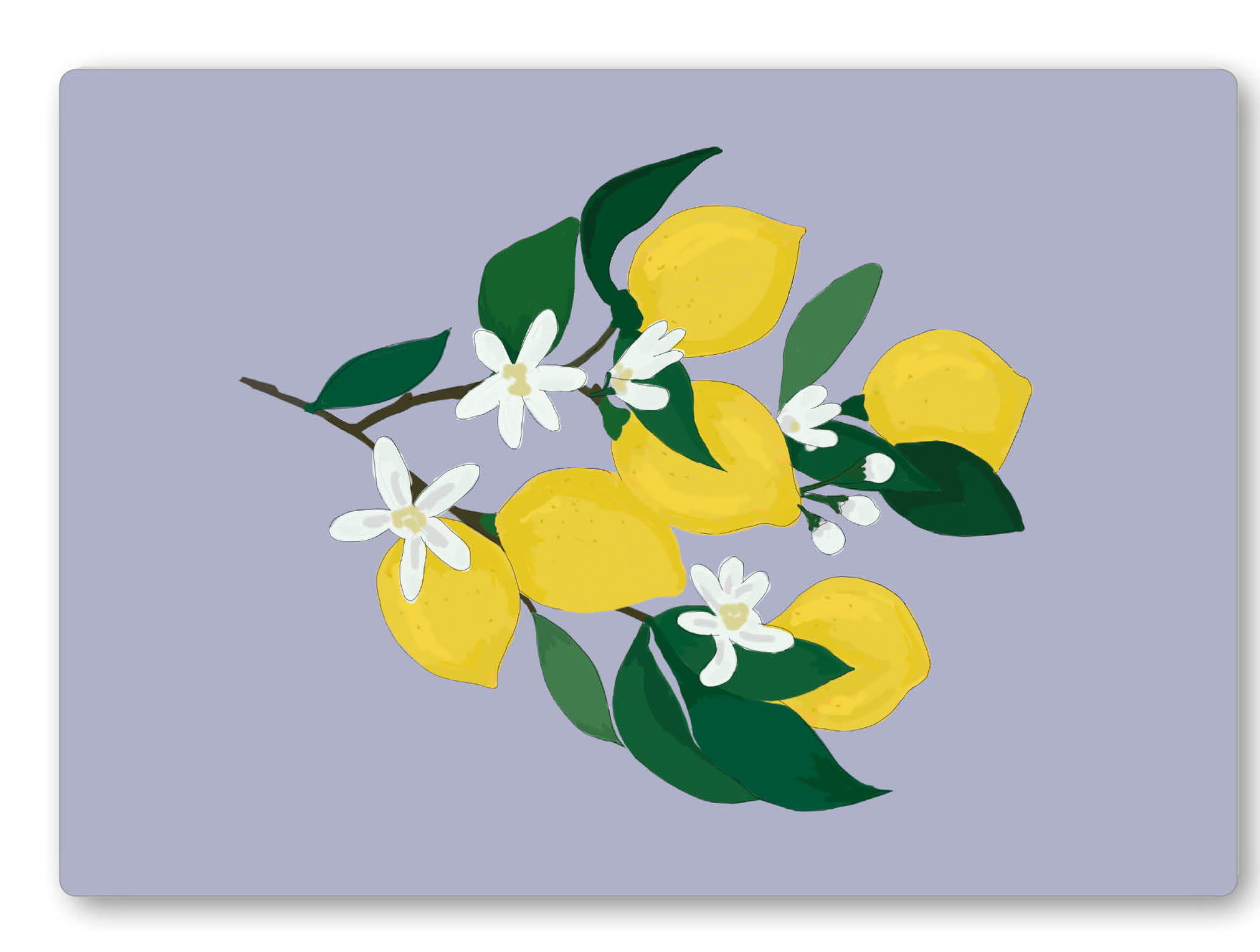 br.25.004.lemon  | Brettchen | 6 Stück