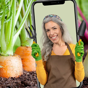 Femme âgée avec un tablier qui tient des outils de jardinage et qui semble sortir d'un cellulaire avec en arrière-plan un potager de légumes vu de près