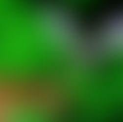 Plantes antichevreuils