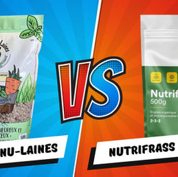 Granu-Laines versus Nutrifrass, mouton ou criquet?