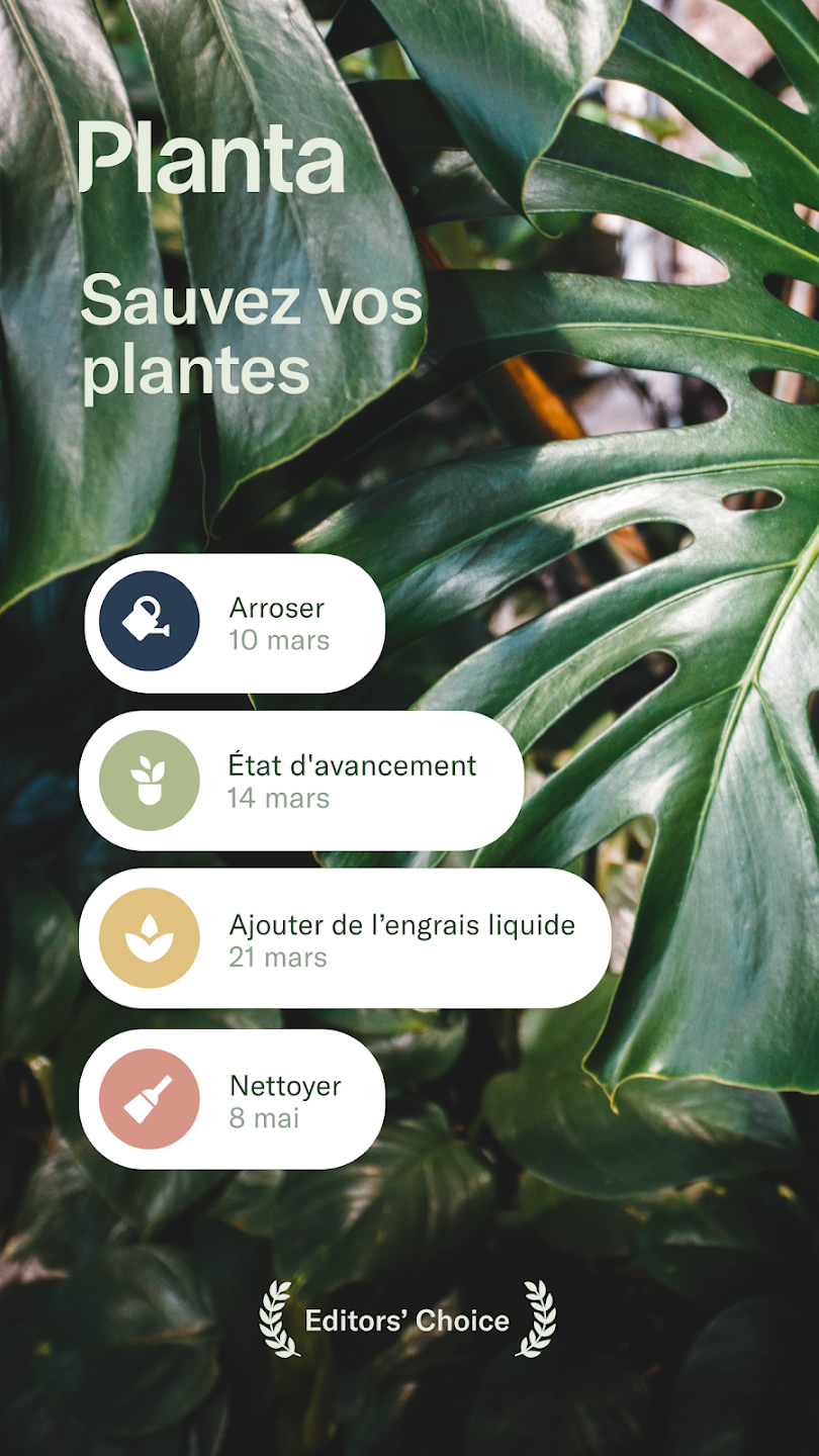 Exemple de visuel dans Planta