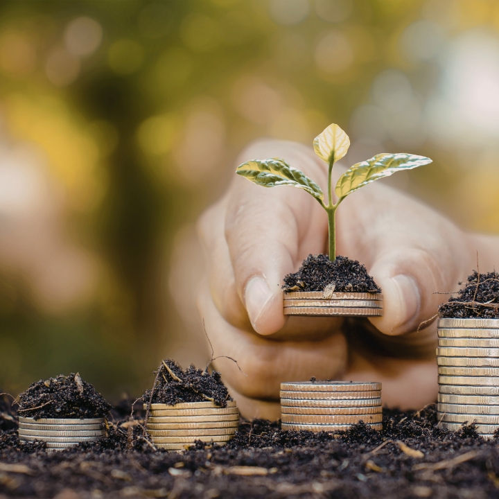 Main qui empile des pièces de monnaies sur le sol sur lesquelles poussent une petite plante.