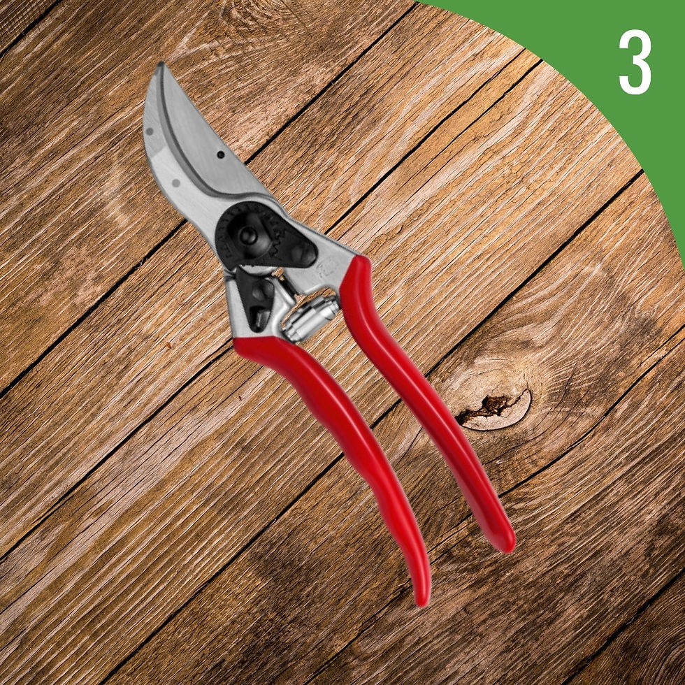 Sécateur rouge sur fond de planches de bois