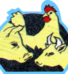 logo_iaz_saltillo.png