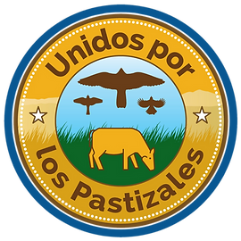 Logo Encuentro 2.png
