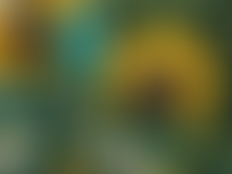 Discover Eco-Friendly Treasures at Forest Native