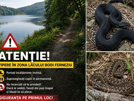 Mesaj de la cititori: Atenție pentru cei care merg la Lacul Bodi Ferneziu!