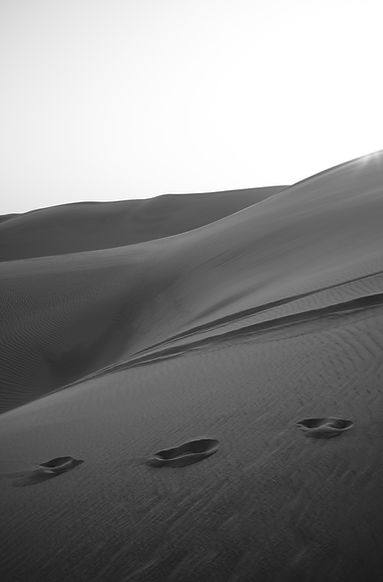 _DSF5428.JPG