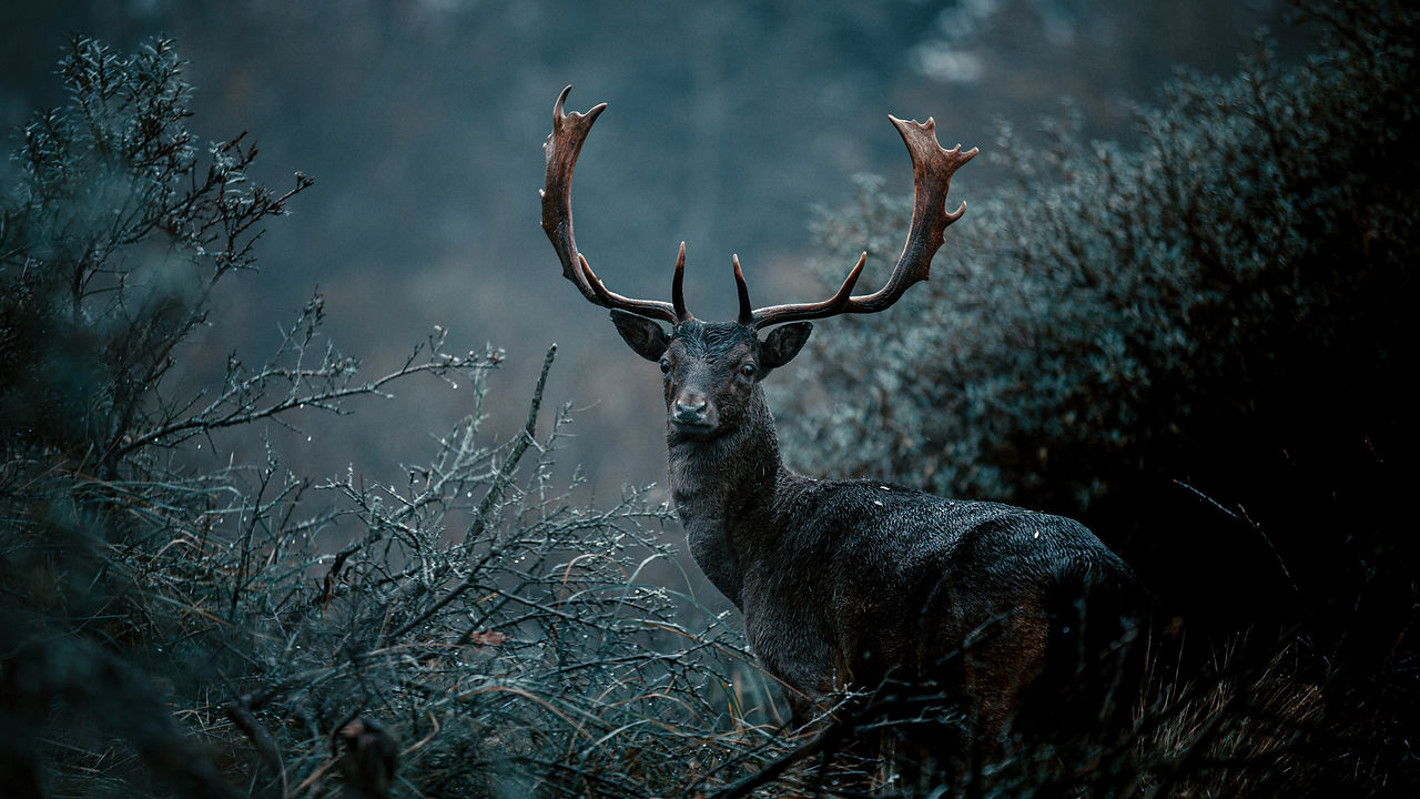 dylan-leagh-B7KmlY_8Y9w-unsplash.jpg