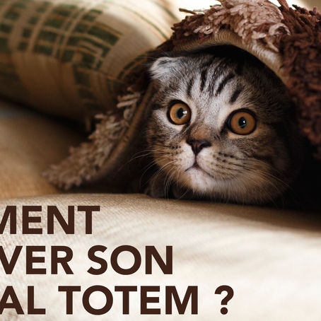 Comment trouver mon Animal Totem ?