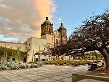 IMG_5127.jpeg