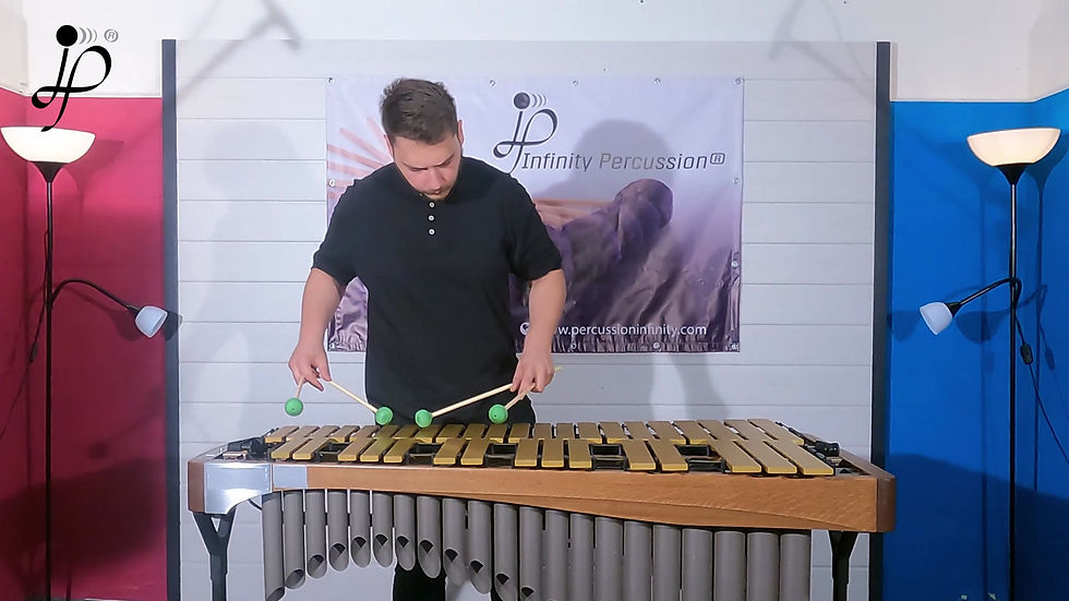 Миниатюра: Vivi Vassileva Artist Vibraphone Series