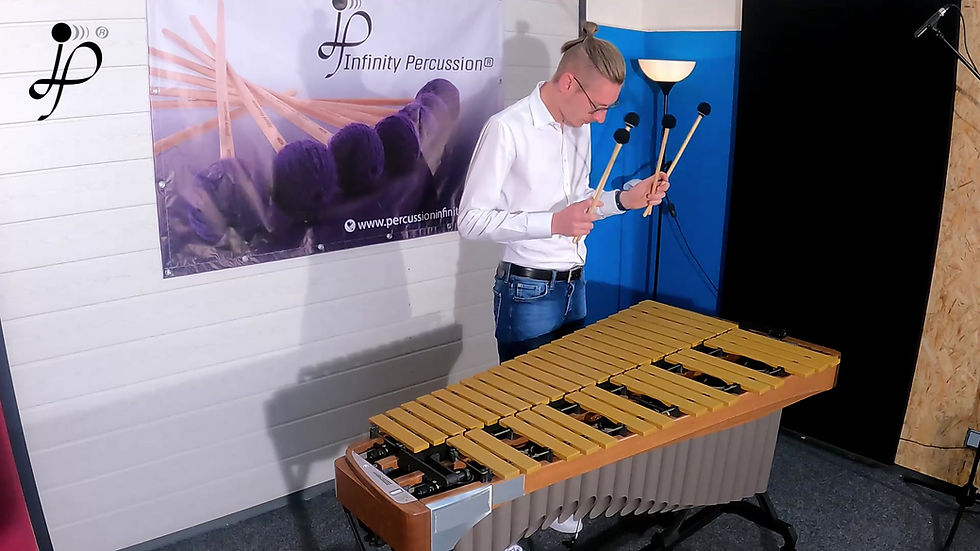 Миниатюра: Fabian Ziegler Artist Vibraphone Series