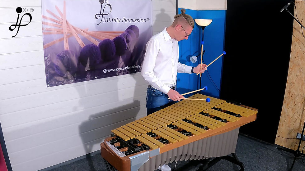 Миниатюра: Fabian Ziegler Artist Vibraphone Series