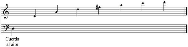 cuerda D.jpg