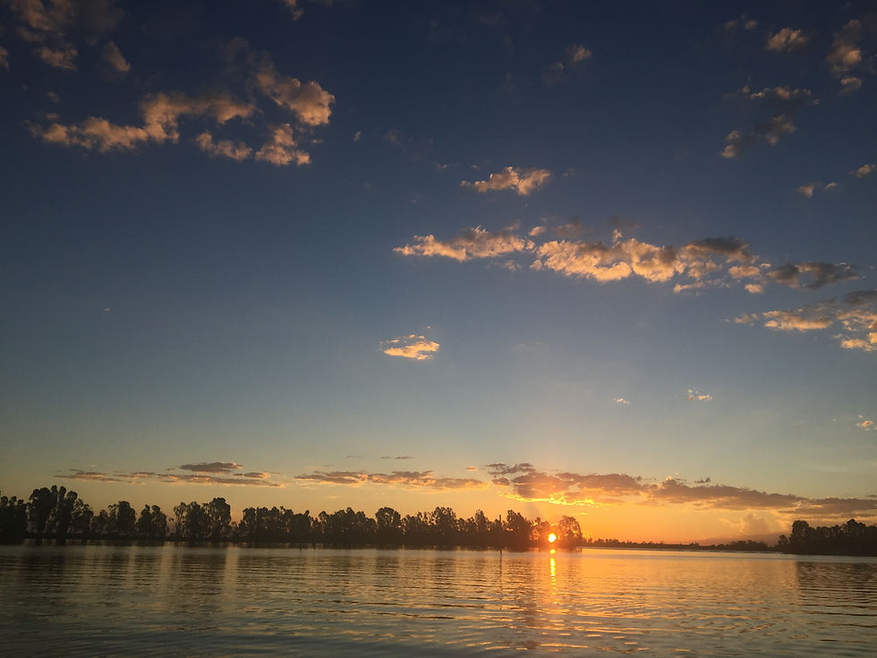 LDYC - New and improved website