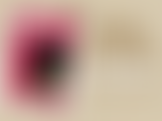 The Fate of Mary Rose, Caroline Blackwood