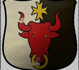 Wolfenburg Bulls 2.jpeg