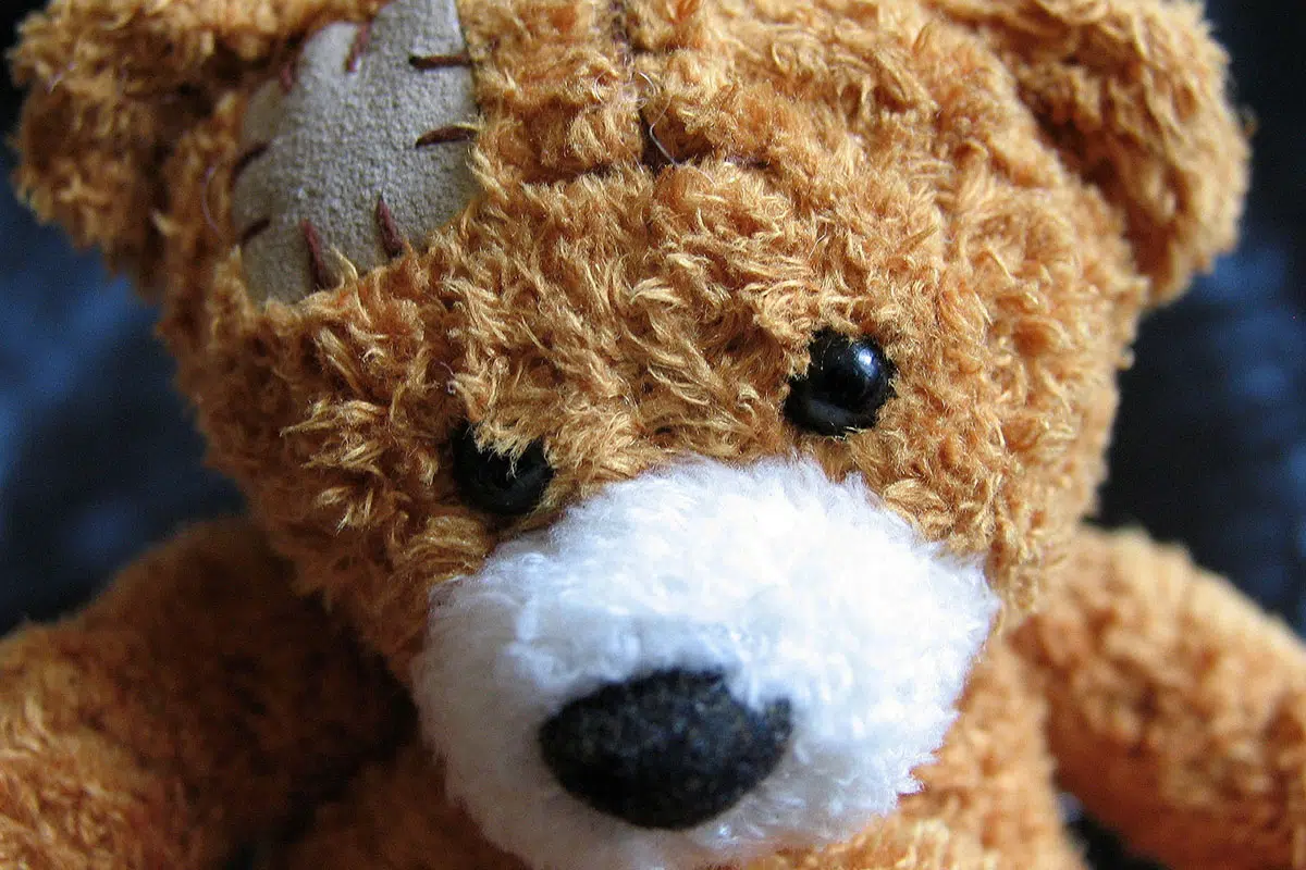 ours-en-peluche-repare.webp