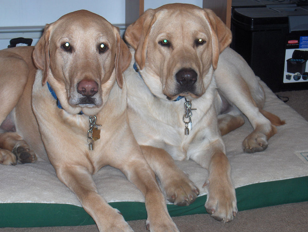 Barry & Baxter