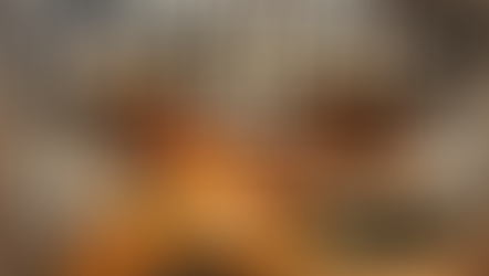 Historical Air Combat: Operation Mole Cricket 19