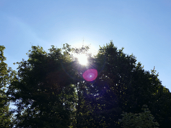 20160814_093823-ANIMATION