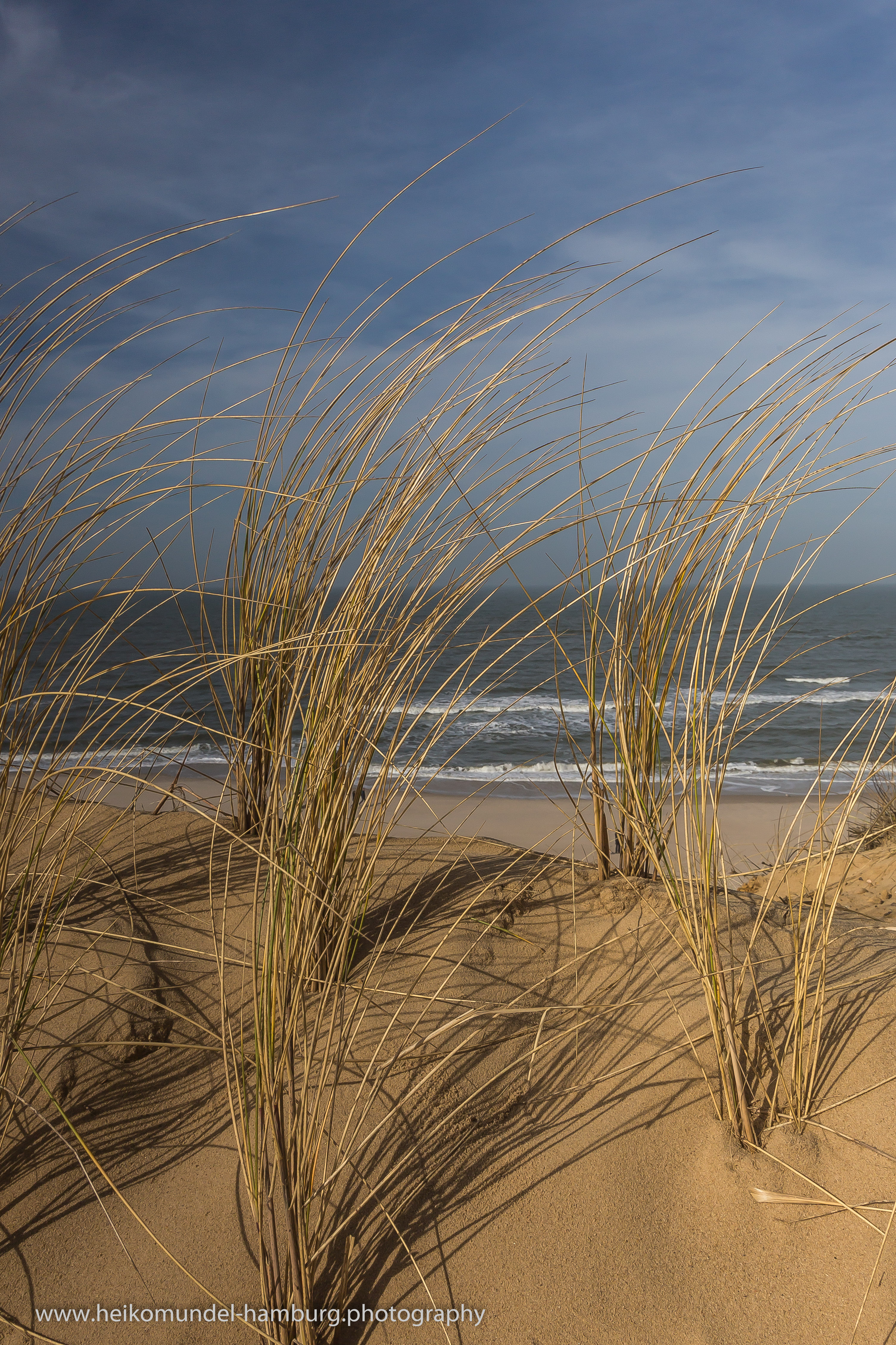 Strandhafer und Meer