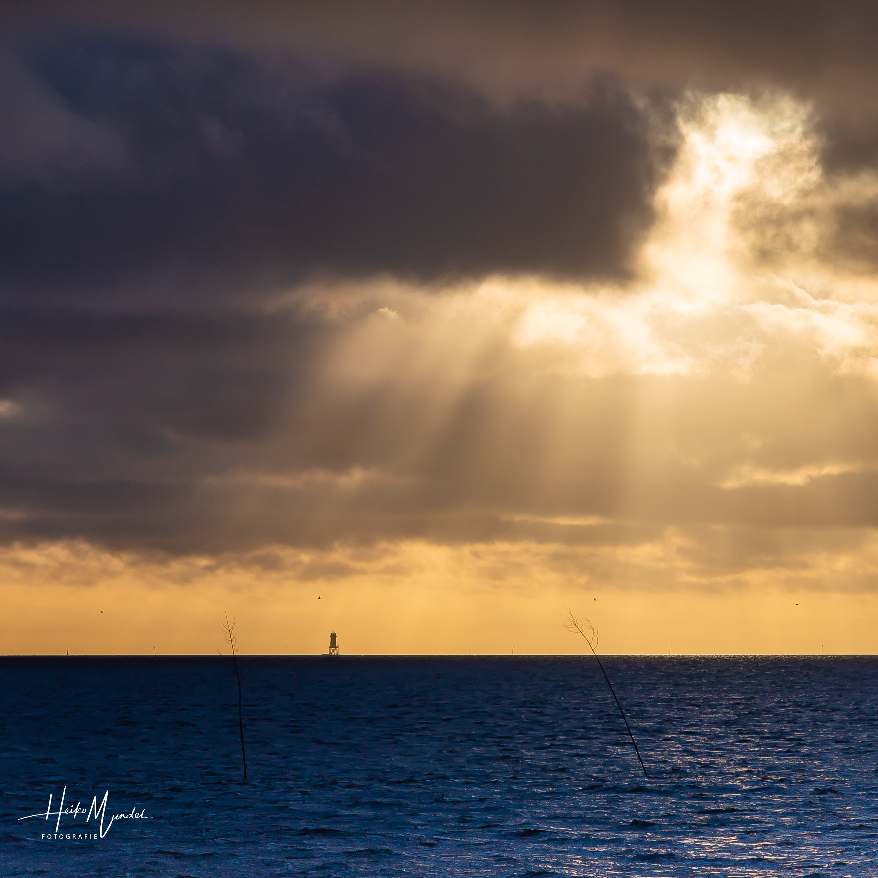 Nordsee bei Dorum
