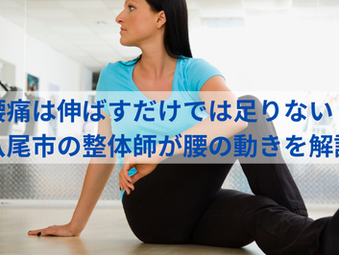 腰痛は「伸ばすだけ」では足りない?腰を支える筋肉と動かす力を専門的に解説