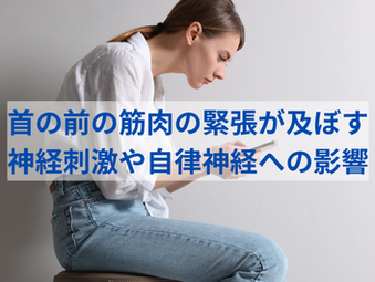 首の前の筋肉の緊張が及ぼす 神経刺激や自律神経への影響