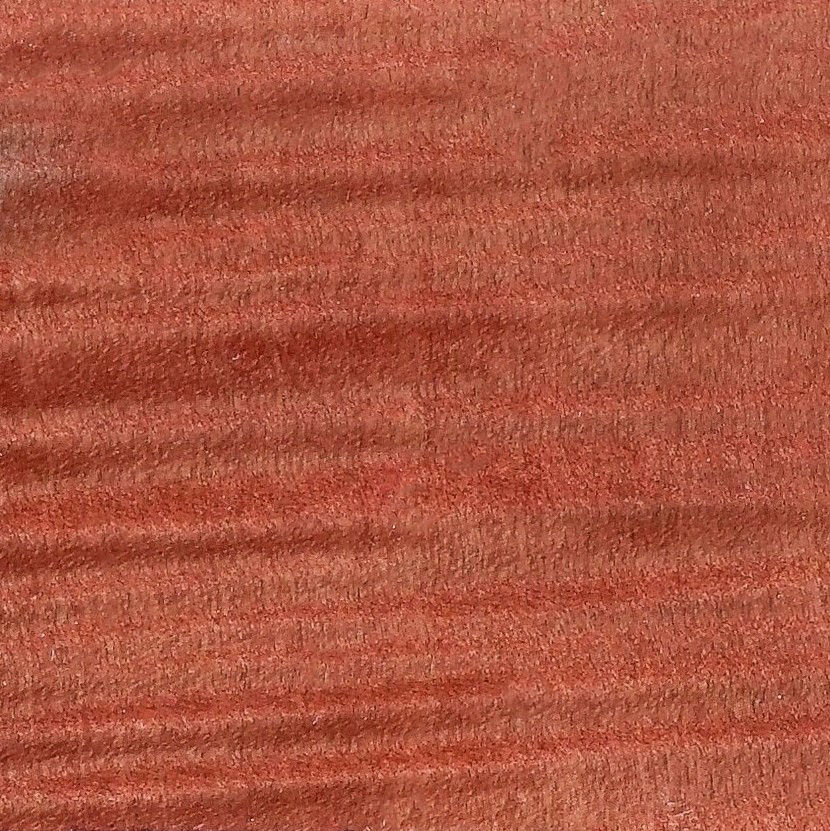 Sycamore #3