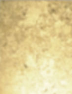 Gilding #14