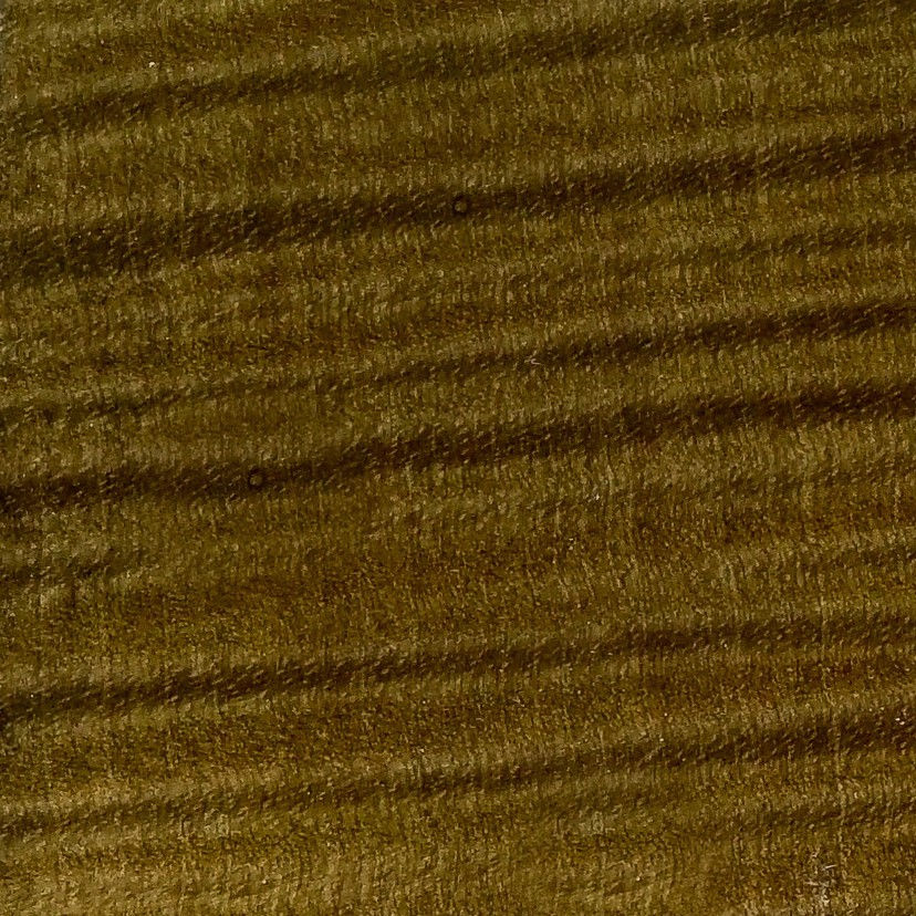 Sycamore #5