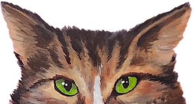 cat_peeking_from_bottom.png