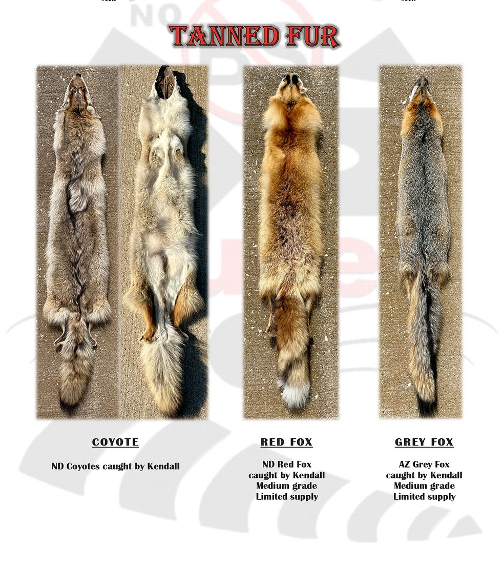 tanned fur.jpg
