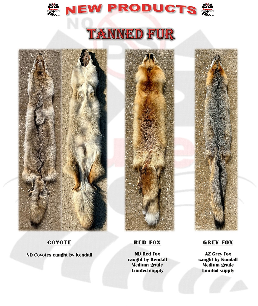 tanned fur.jpg