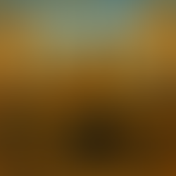 Dunfermline Times: 15th December 2025 - Finn Moray Pays Tribute To Big Country's Stuart Adamson In New Album