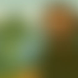 Silent River: New song for Inverness will send its share of album profits back to Highland good causes