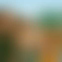 Foggie: New song for Aberchirder (Foggie) will send its share of album profits back to Aberdeenshire good causes