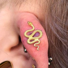 Piercings by molly moon molly moon 920 tattoo and piercing 920 tattoo 920 oshkosh downtown oshkosh piercer body piercer body piercing 920 tattoo co wisconsin piercer wisconsin fine jewelry piercing piercings snake unique piercings snake jewelry