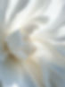 IMG_1737.jpeg