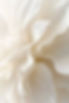 Decus Beauty brand logo with floral botanical background.
