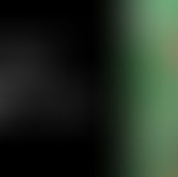 C'est parti pour nos protégés, départ vers la métropole !