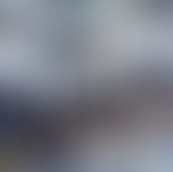 Départ de Guadeloupe pour nos protégés adoptés, 24 avril 2026