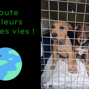 Allez zou !! On décolle ! ✈️
