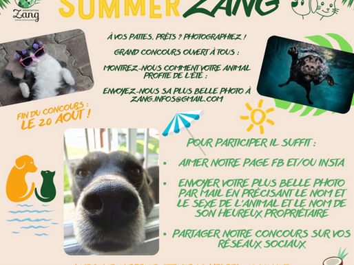 ☀️ Summer-Zang 2025 📸